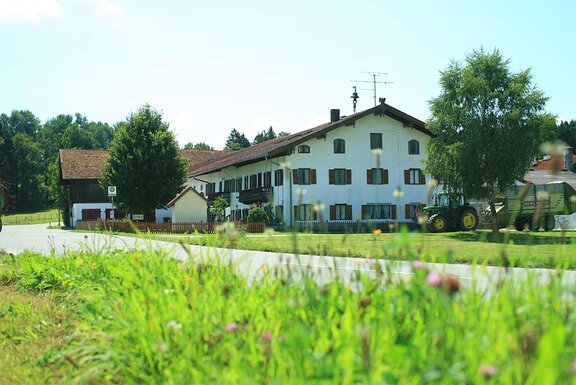 Rinser Natureis Impressionen